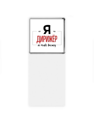 Я дирижёр я так вижу