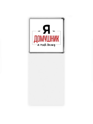 Я домушник я так вижу
