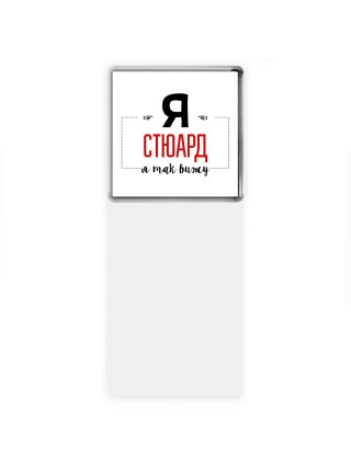Я стюард я так вижу