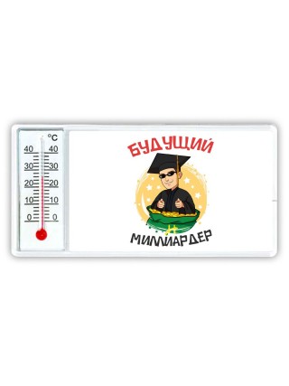 будущий миллиардер