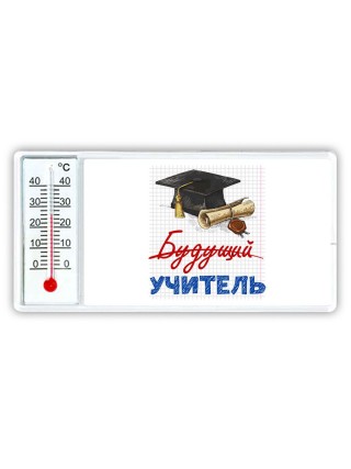 будущий учитель