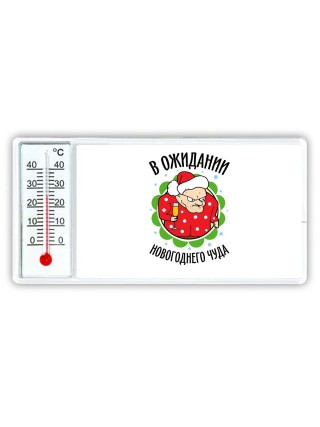 в ожидании новогоднего чуда