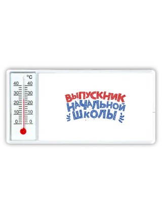 выпускник начальной школы