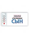 любимый и воспитанный сын