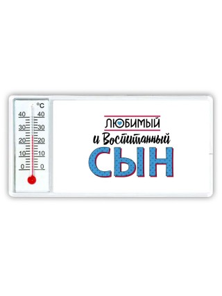 любимый и воспитанный сын