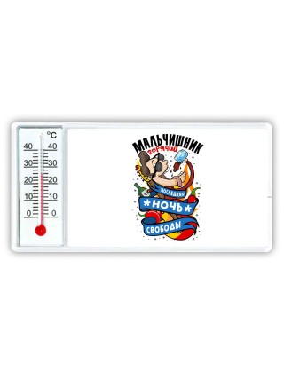 мальчишник, последнняя ночь свободы
