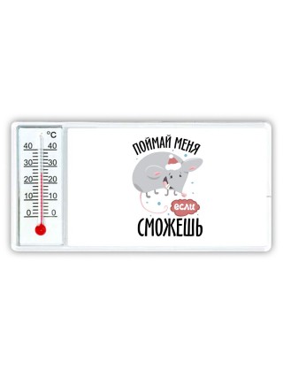 поймай меня если сможешь