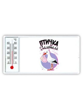 птичка залетела