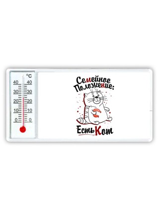 семейное положение -  есть кот