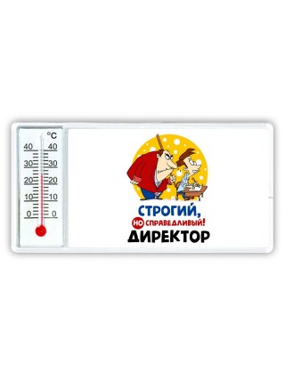 строгий но справедливый директор