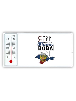 я так ждала тебя, Вова