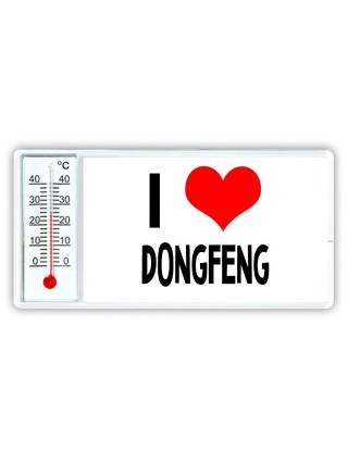 I love DongFeng