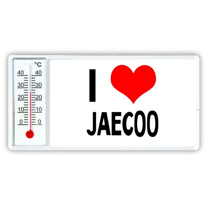 I love Jaecoo