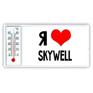 Я люблю Skywell