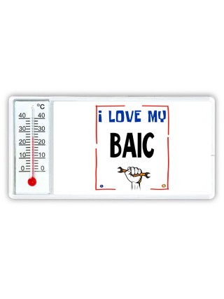 I love my BAIC