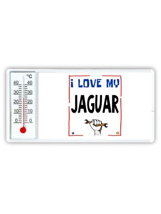 I love my Jaguar