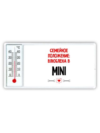 Семейное пололжение - влюблена в Mini
