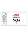 Семейное пололжение - влюблена в Skoda