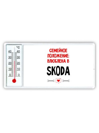 Семейное пололжение - влюблена в Skoda