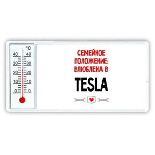 Семейное пололжение - влюблена в Tesla