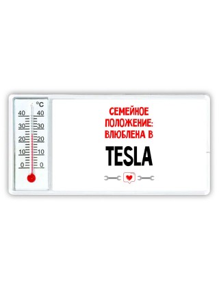 Семейное пололжение - влюблена в Tesla