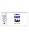 семейной пололжение - влюблен в Livan