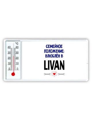 семейной пололжение - влюблен в Livan
