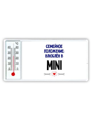 семейной пололжение - влюблен в Mini
