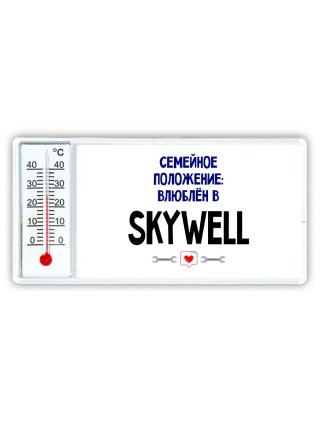семейной пололжение - влюблен в Skywell