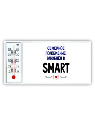 семейной пололжение - влюблен в Smart