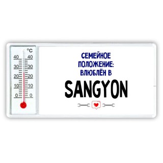 семейной пололжение - влюблен в Ssangyong