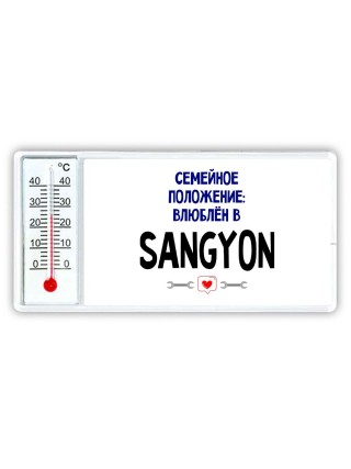 семейной пололжение - влюблен в Ssangyong