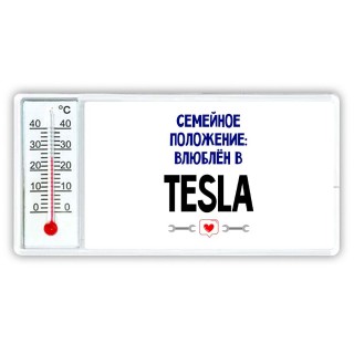 семейной пололжение - влюблен в Tesla