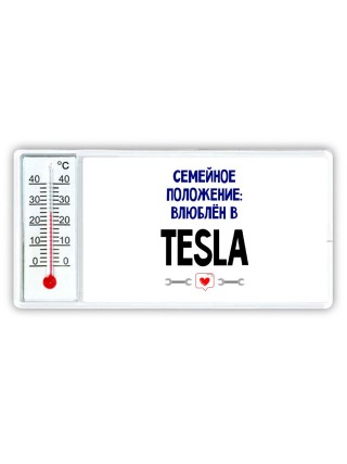 семейной пололжение - влюблен в Tesla