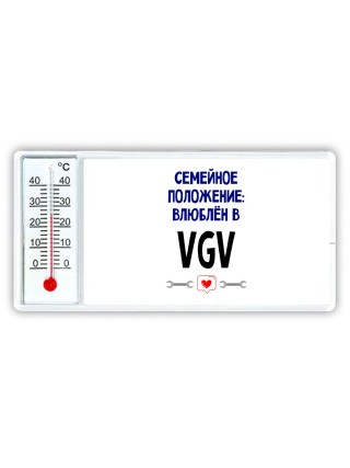 семейной пололжение - влюблен в VGV