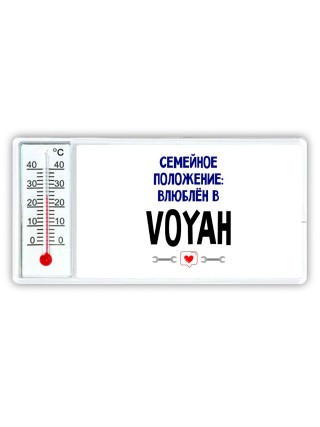семейной пололжение - влюблен в Voyah