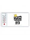 Гордая владелица BYD