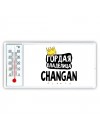 Гордая владелица Changan