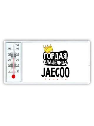 Гордая владелица Jaecoo
