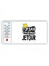 Гордая владелица Jetour