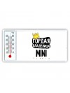 Гордая владелица Mini