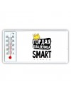 Гордая владелица Smart