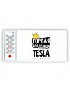 Гордая владелица Tesla