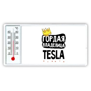 Гордая владелица Tesla