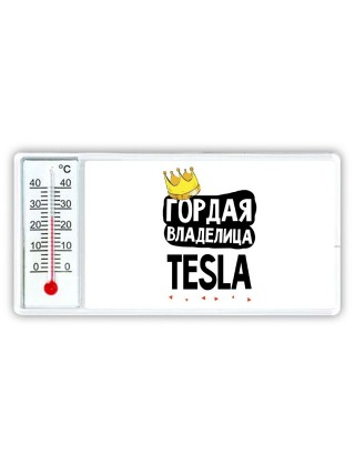 Гордая владелица Tesla