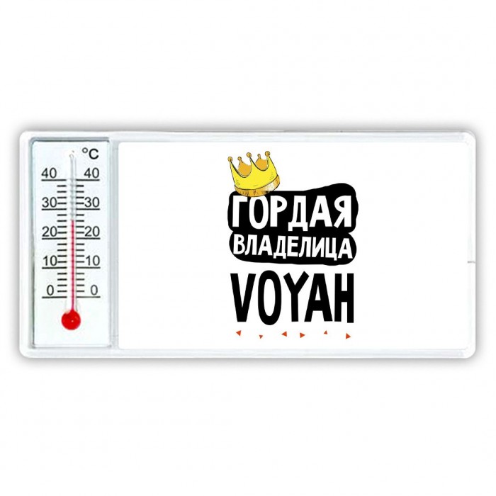 Гордая владелица Voyah