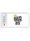 Гордый владелец BYD