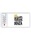 Гордый владелец Denza