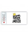 Гордый владелец Jaecoo