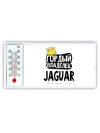 Гордый владелец Jaguar
